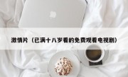 激情片（已满十八岁看的免费观看电视剧）