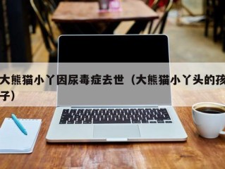 大熊猫小丫因尿毒症去世（大熊猫小丫头的孩子）
