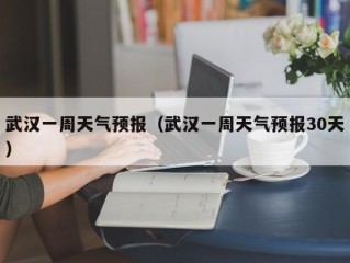 武汉一周天气预报（武汉一周天气预报30天）