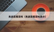 肖战百度百科（肖战百度百科简介）