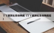 丫丫回到北京动物园（丫丫回到北京动物园后）