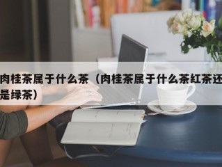 肉桂茶属于什么茶（肉桂茶属于什么茶红茶还是绿茶）
