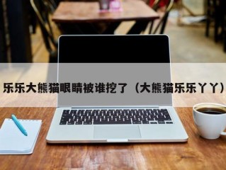 乐乐大熊猫眼睛被谁挖了（大熊猫乐乐丫丫）