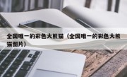 全国唯一的彩色大熊猫（全国唯一的彩色大熊猫图片）