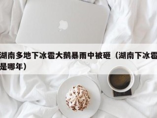 湖南多地下冰雹大鹅暴雨中被砸（湖南下冰雹是哪年）