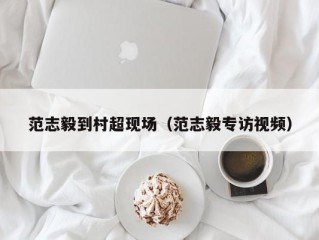 范志毅到村超现场（范志毅专访视频）