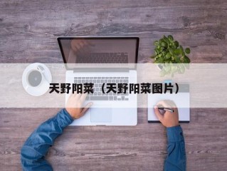 天野阳菜（天野阳菜图片）