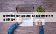 发财树的养殖方法和浇水（小型发财树的养殖方法和浇水）