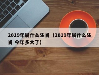 2019年属什么生肖（2019年属什么生肖 今年多大了）