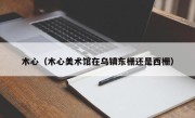 木心（木心美术馆在乌镇东栅还是西栅）
