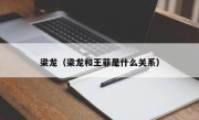 梁龙（梁龙和王菲是什么关系）