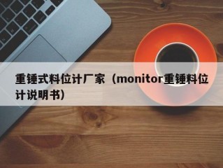 重锤式料位计厂家（monitor重锤料位计说明书）