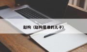 赵构（赵构是谁的儿子）