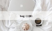bug（卜卦）