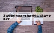 泽连斯基被曝挪用4亿美元援助款（泽连斯基年轻时）