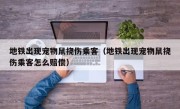 地铁出现宠物鼠挠伤乘客（地铁出现宠物鼠挠伤乘客怎么赔偿）