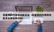 鱼腥草的作用和功能主治（鱼腥草的作用和功能主治夏枯草功效）
