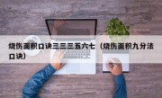 烧伤面积口诀三三三五六七（烧伤面积九分法口诀）